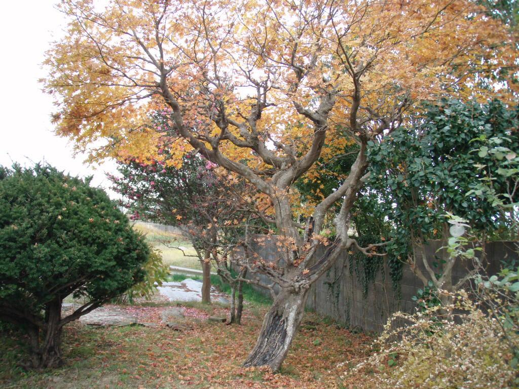 Guesthouse Hokkai Nanao Exteriör bild