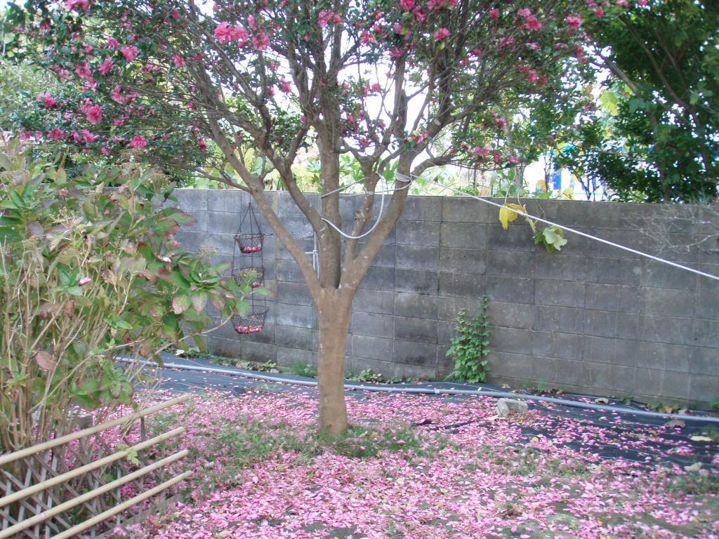 Guesthouse Hokkai Nanao Exteriör bild